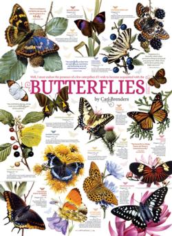 Butterfly Collection Butterflies and Insects Jigsaw Puzzle By Cobble Hill