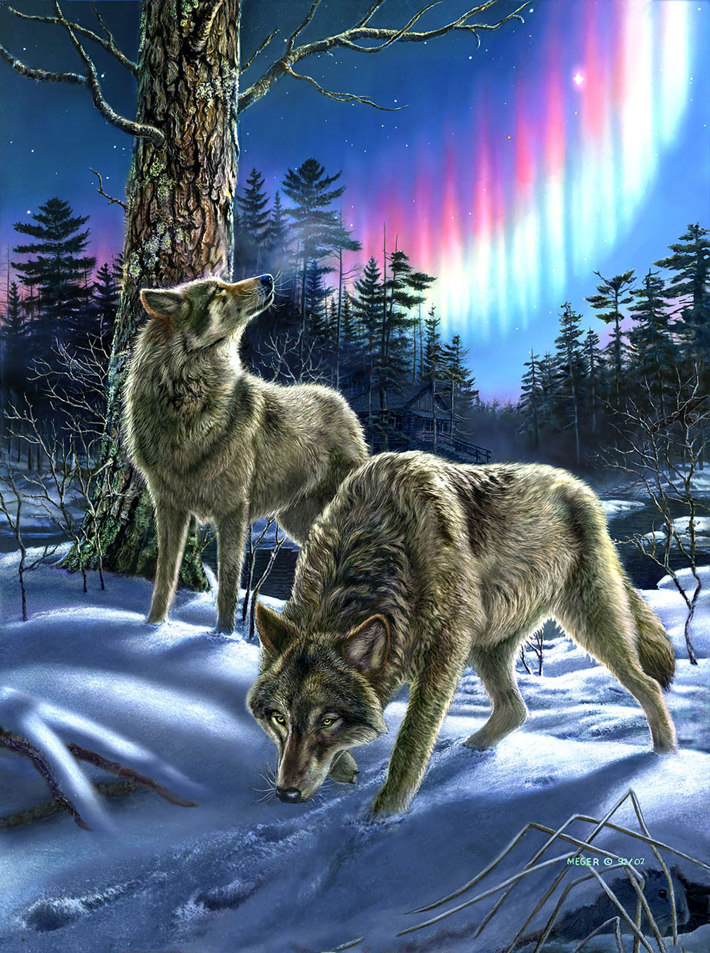 Wolves and Lights 1000