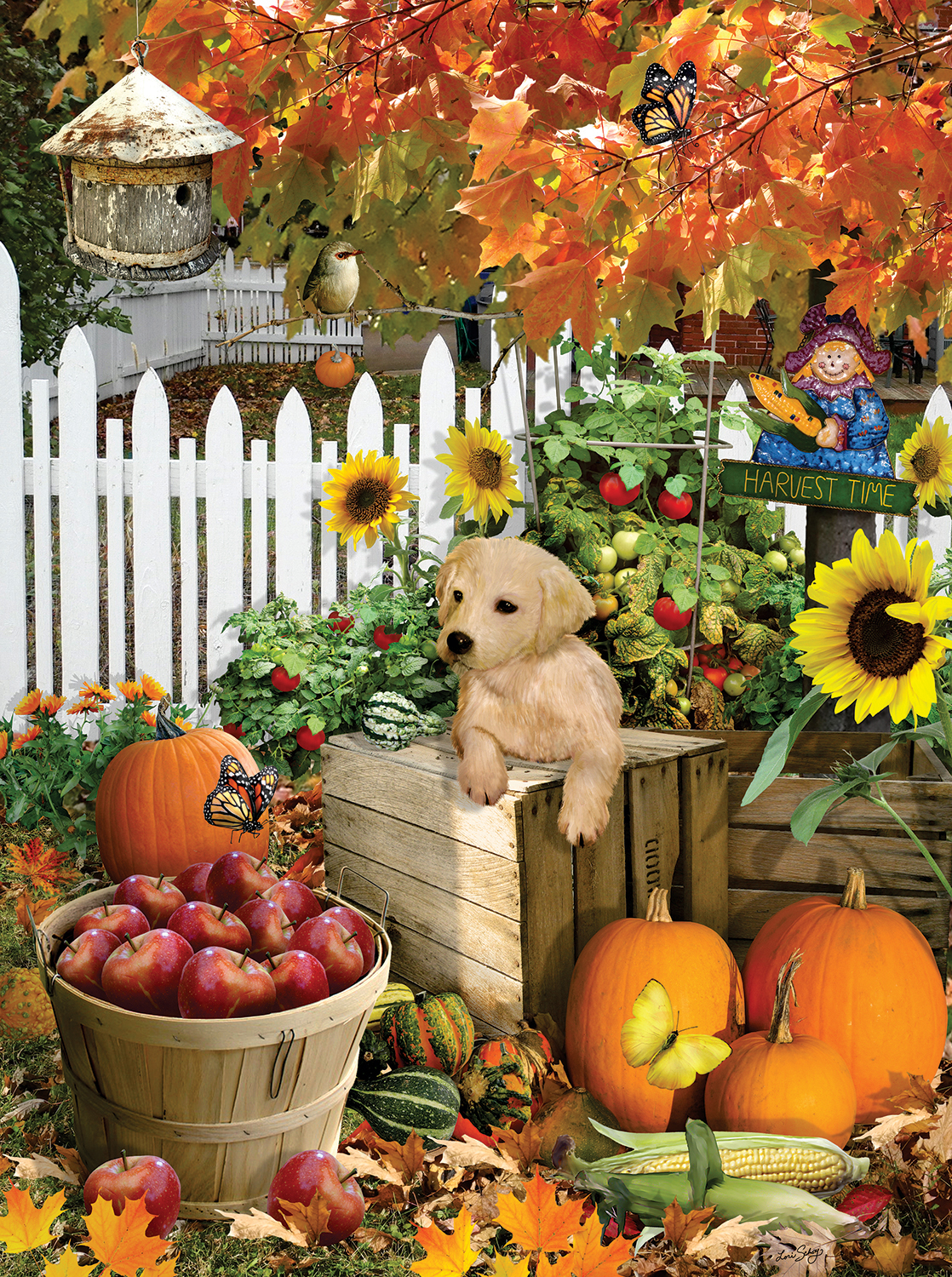 Harvest Puppy