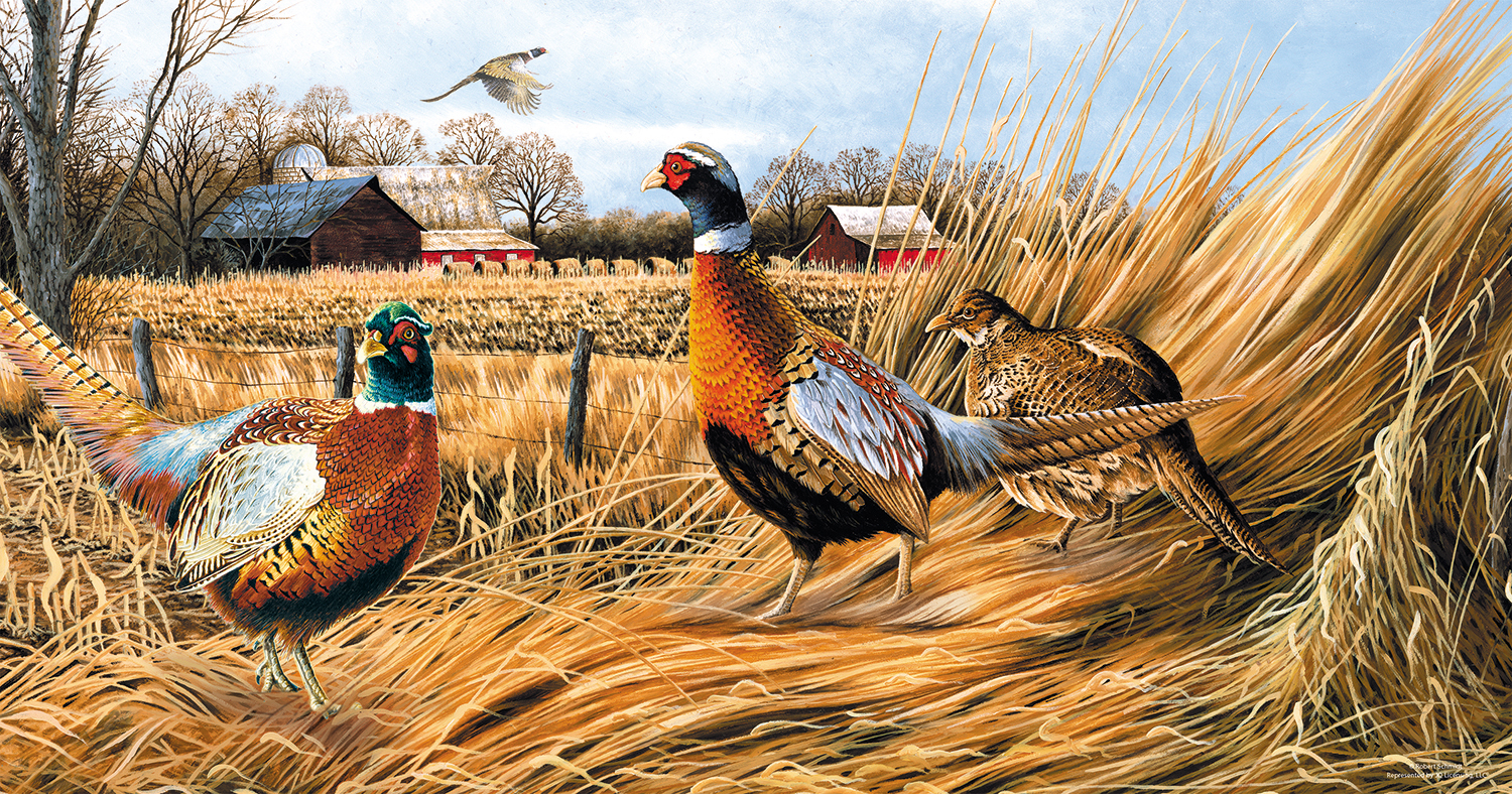 Pheasant Farm 500