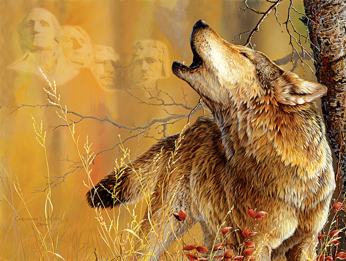 Rushmore Wolf 500