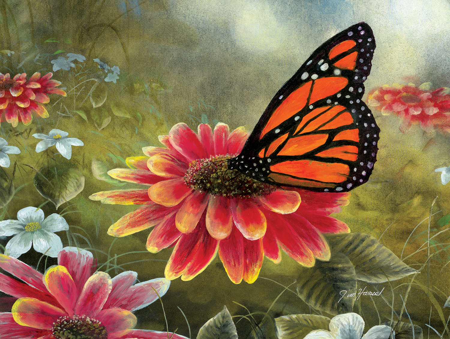 Monarch Butterfly 500