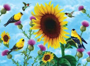 Sunflowers and Songbirds 500+