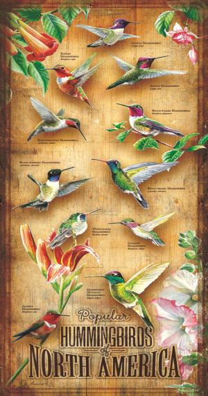 Hummingbirds of North of America 500